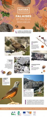Panneau Natura 2000 Sainte-Baume - Falaises et éboulis
