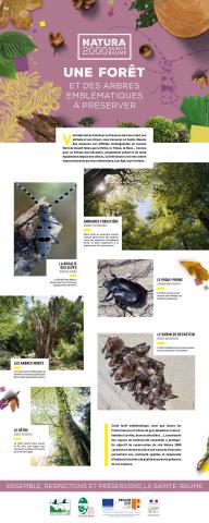 Panneau Natura 2000 Sainte-Baume - Forêt