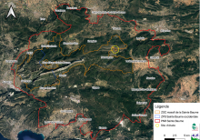 Site d'étude des Cistudes d'Europe sur le site Natura 2000 et le PNR Sainte-Baume
